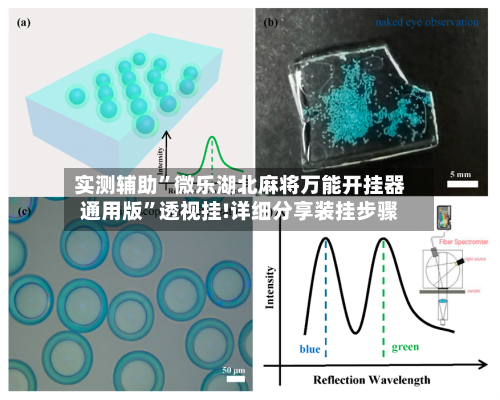 实测辅助”微乐湖北麻将万能开挂器通用版	”透视挂!详细分享装挂步骤-第1张图片
