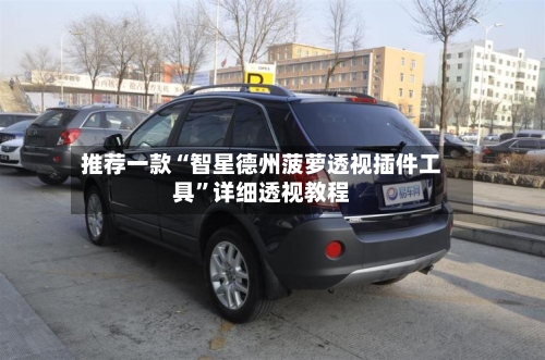 推荐一款“智星德州菠萝透视插件工具”详细透视教程-第1张图片