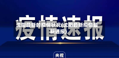 沈阳最新的疫情状况(沈阳最新疫情最新通报)-第1张图片