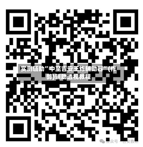 实测辅助”中至吉安王炸辅助器”(作弊)辅助透视教程-第1张图片