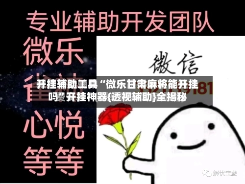 开挂辅助工具“微乐甘肃麻将能开挂吗”开挂神器{透视辅助}全揭秘-第1张图片
