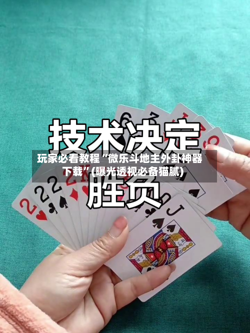 玩家必看教程“微乐斗地主外卦神器下载”(曝光透视必备猫腻)-第1张图片