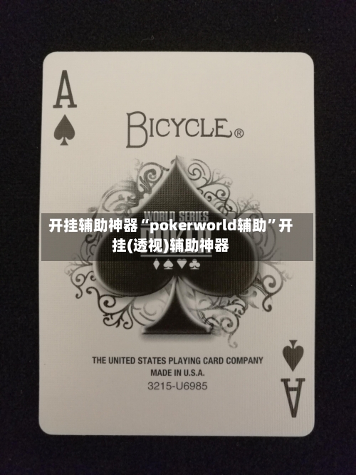 开挂辅助神器“pokerworld辅助	”开挂(透视)辅助神器-第1张图片