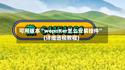 可用版本“wepoKer怎么安装挂件”(详细透视教程)-第1张图片