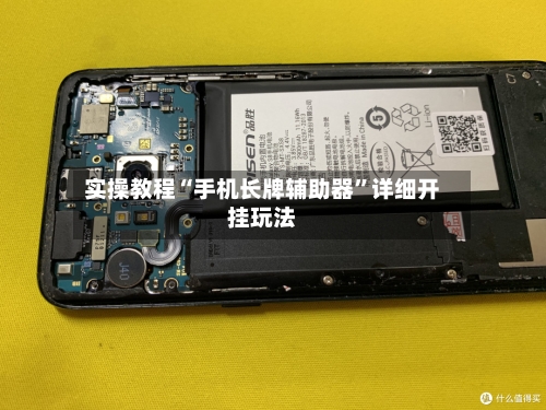 实操教程“手机长牌辅助器	”详细开挂玩法-第1张图片