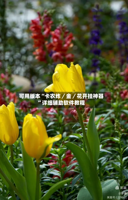 可用版本“卡农炸／金／花开挂神器	”详细辅助软件教程-第1张图片