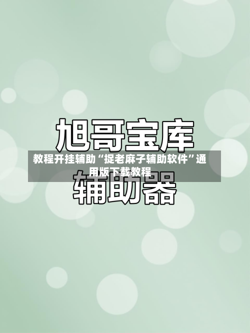 教程开挂辅助“捉老麻子辅助软件”通用版下载教程-第1张图片