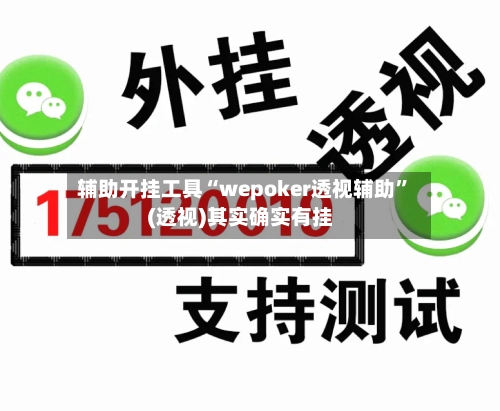辅助开挂工具“wepoker透视辅助”(透视)其实确实有挂-第1张图片