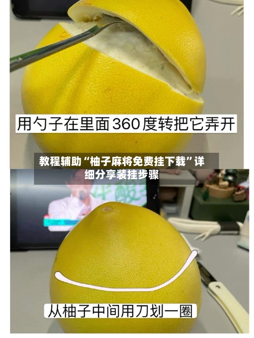教程辅助“柚子麻将免费挂下载	”详细分享装挂步骤-第1张图片