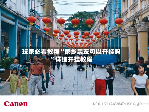 玩家必看教程“家乡亲友可以开挂吗”详细开挂教程-第1张图片