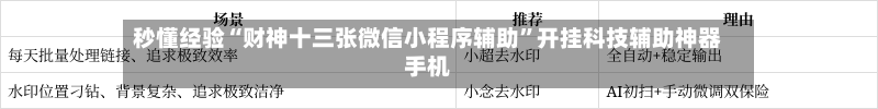 秒懂经验“财神十三张微信小程序辅助”开挂科技辅助神器手机-第1张图片