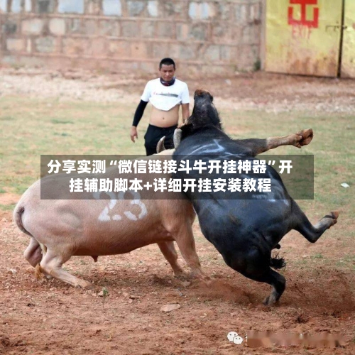 分享实测“微信链接斗牛开挂神器”开挂辅助脚本+详细开挂安装教程-第1张图片