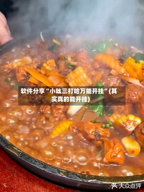 软件分享“小吆三打哈万能开挂	”(其实真的能开挂)-第1张图片