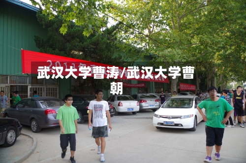 武汉大学曹涛/武汉大学曹朝-第1张图片