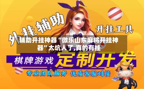 辅助开挂神器“微乐山东麻将开挂神器”太坑人了,真的有挂-第1张图片