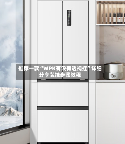 推荐一款“WPK有没有透视挂”详细分享装挂步骤教程-第1张图片