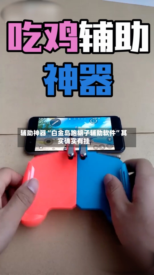 辅助神器“白金岛跑胡子辅助软件”其实确实有挂-第1张图片