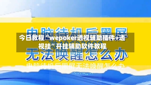 今日教程“wepoker透视辅助插件+透视挂	”开挂辅助软件教程-第1张图片