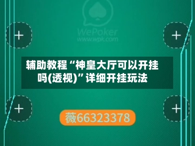 辅助教程“神皇大厅可以开挂吗(透视)	”详细开挂玩法-第1张图片