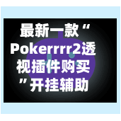最新一款“Pokerrrr2透视插件购买”开挂辅助脚本+详细开挂安装教程-第1张图片
