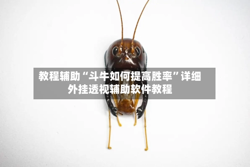 教程辅助“斗牛如何提高胜率	”详细外挂透视辅助软件教程-第1张图片