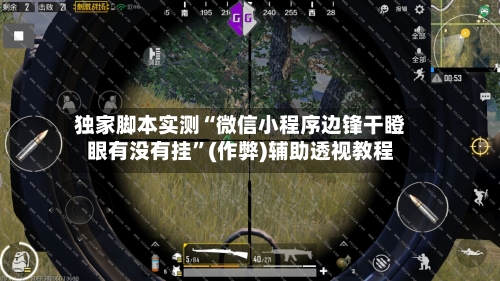 独家脚本实测“微信小程序边锋干瞪眼有没有挂	”(作弊)辅助透视教程-第1张图片