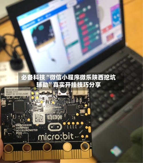 必备科技“微信小程序微乐陕西挖坑辅助	”真实开挂技巧分享-第1张图片