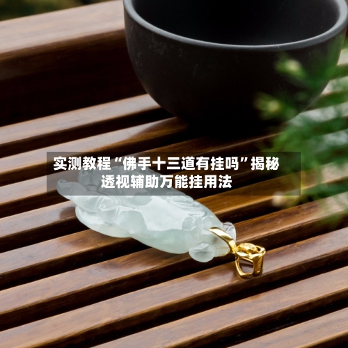 实测教程“佛手十三道有挂吗	”揭秘透视辅助万能挂用法-第1张图片