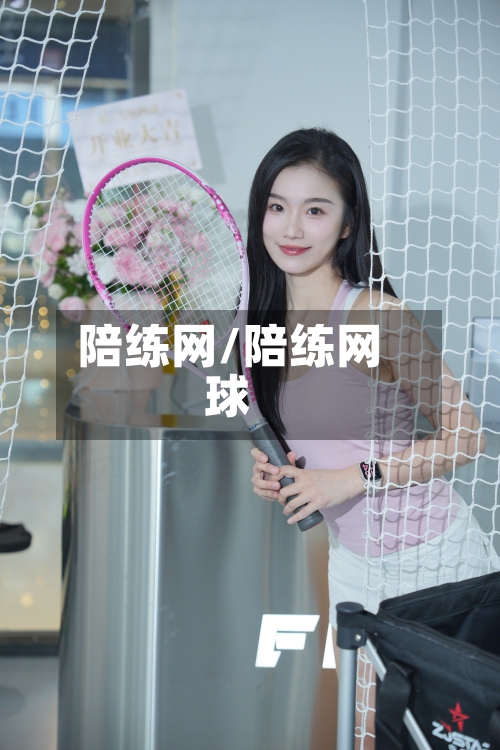 陪练网/陪练网球-第1张图片