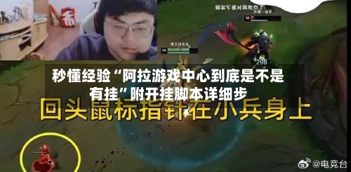 秒懂经验“阿拉游戏中心到底是不是有挂”附开挂脚本详细步-第1张图片