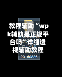 教程辅助“wpk辅助是正规平台吗	”详细透视辅助教程-第1张图片