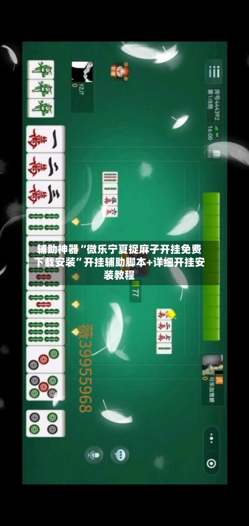 辅助神器“微乐宁夏捉麻子开挂免费下载安装”开挂辅助脚本+详细开挂安装教程-第1张图片