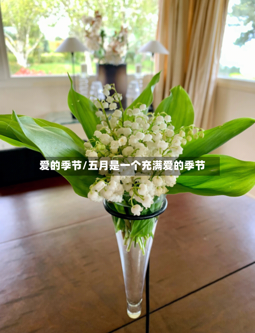 爱的季节/五月是一个充满爱的季节-第1张图片