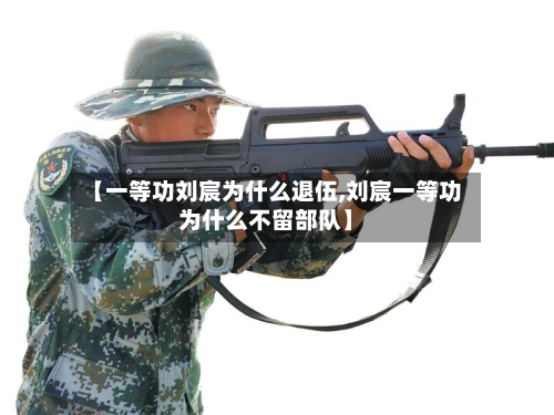【一等功刘宸为什么退伍,刘宸一等功为什么不留部队】-第1张图片