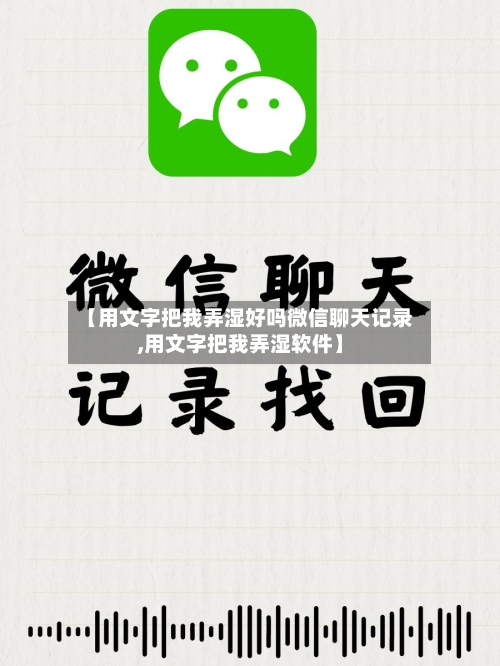 【用文字把我弄湿好吗微信聊天记录,用文字把我弄湿软件】-第1张图片