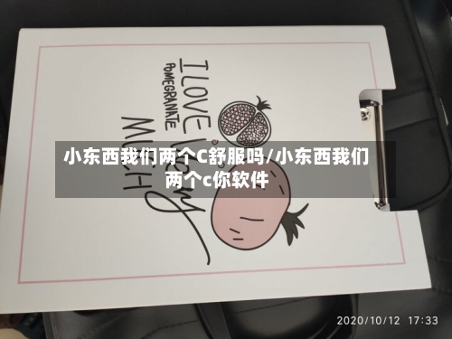 小东西我们两个C舒服吗/小东西我们两个c你软件-第1张图片