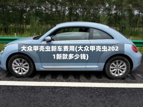 大众甲壳虫新车费用(大众甲壳虫2021新款多少钱)-第1张图片