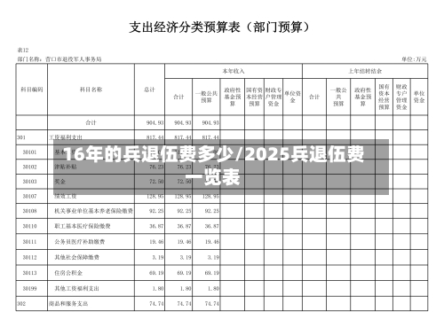 16年的兵退伍费多少/2025兵退伍费一览表-第1张图片