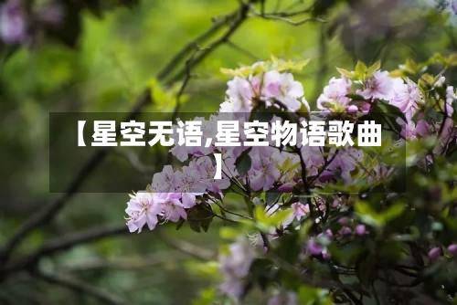 【星空无语,星空物语歌曲】-第1张图片
