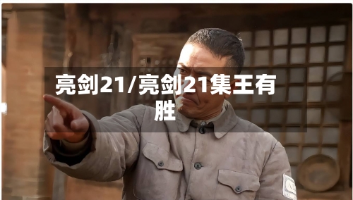 亮剑21/亮剑21集王有胜-第1张图片