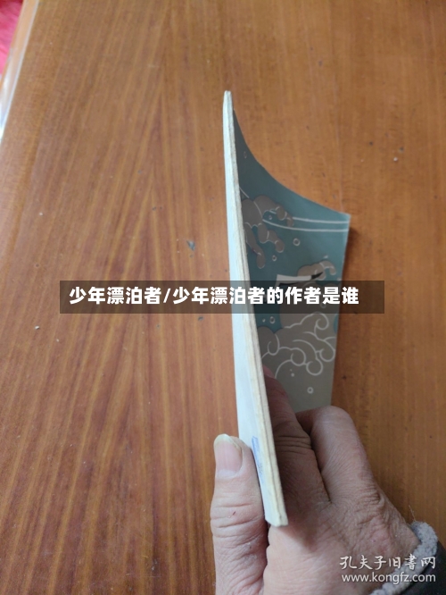 少年漂泊者/少年漂泊者的作者是谁-第1张图片