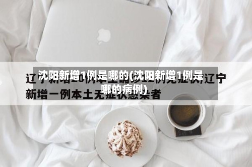 沈阳新增1例是哪的(沈阳新增1例是哪的病例)-第1张图片