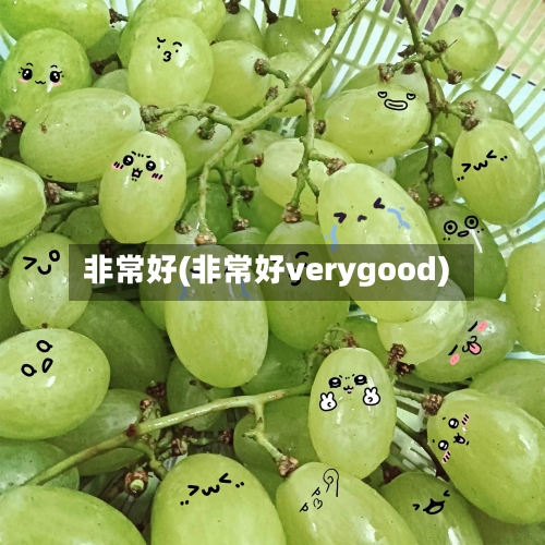 非常好(非常好verygood)-第1张图片