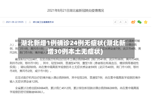 湖北新增1例确诊24例无症状(湖北新增30例本土无症状)-第1张图片