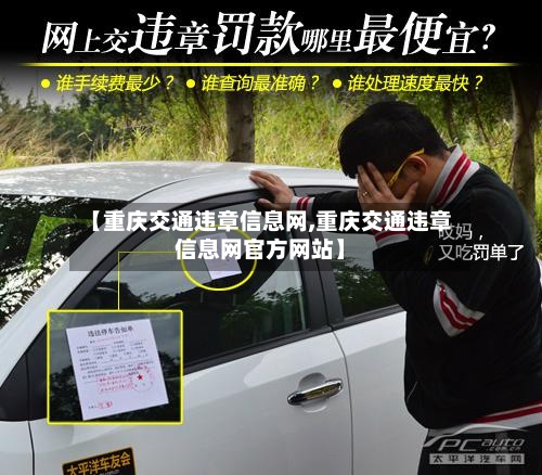 【重庆交通违章信息网,重庆交通违章信息网官方网站】-第1张图片