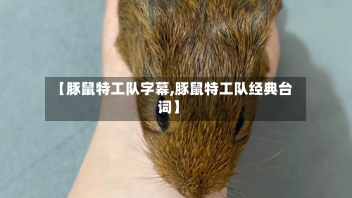 【豚鼠特工队字幕,豚鼠特工队经典台词】-第1张图片