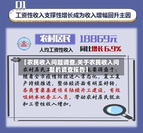 【农民收入问题调查,关于农民收入问题的调查报告】-第1张图片
