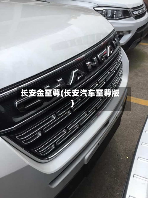 长安金至尊(长安汽车至尊版)-第1张图片