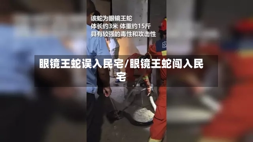 眼镜王蛇误入民宅/眼镜王蛇闯入民宅-第1张图片