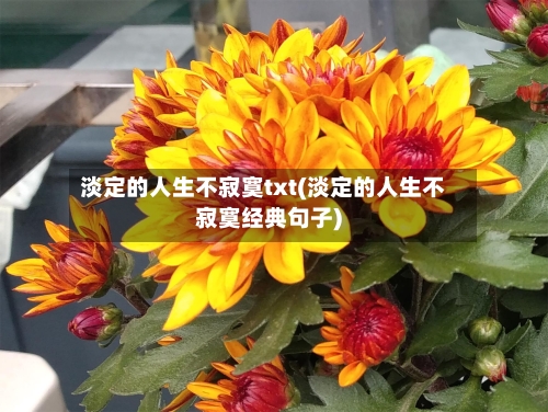 淡定的人生不寂寞txt(淡定的人生不寂寞经典句子)-第1张图片